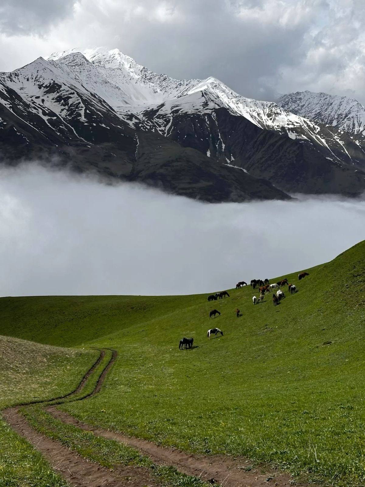 Kazakhstan landscape 6